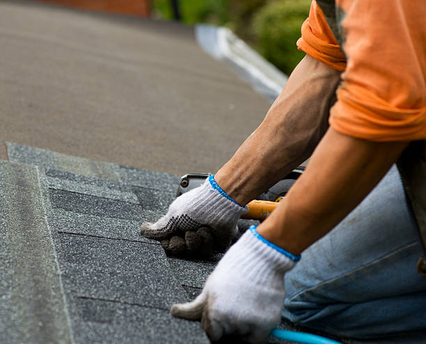 Best Storm Damage Roof Repair  in Wmington, IL