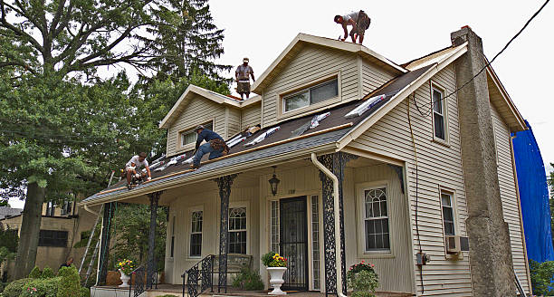 Best Gutter Installation and Roofing  in Wmington, IL