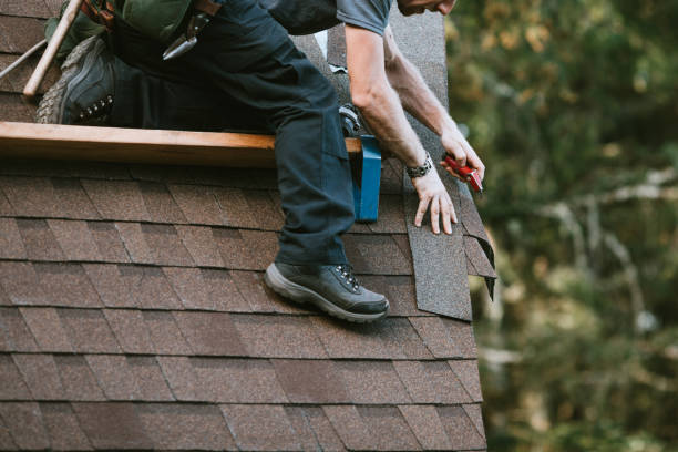 Best Roof Gutter Cleaning  in Wmington, IL